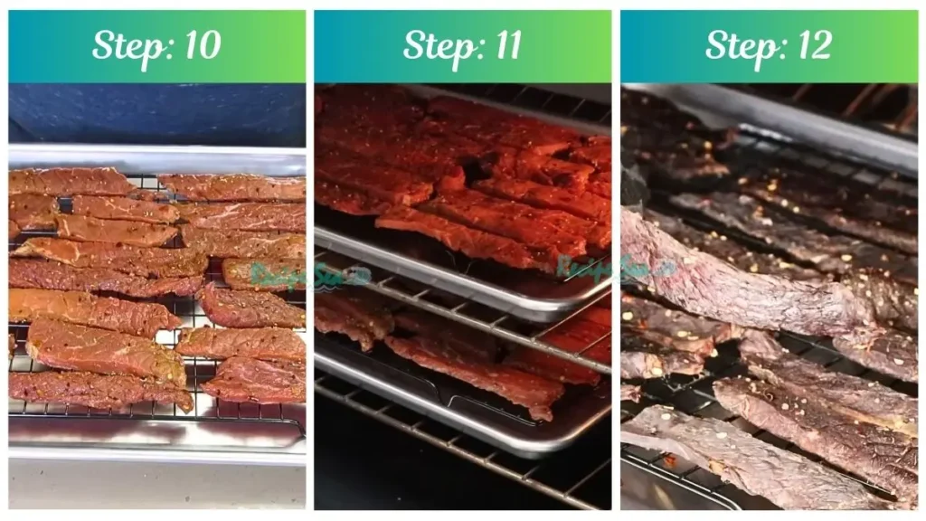 Recipe by Buc ees Bohemian Garlic Beef Jerky