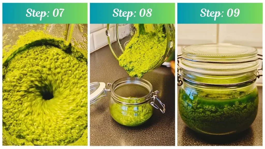 Recipe by Pesto Without Pine Nuts